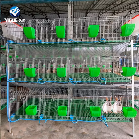 Clapier à lapin maisons d'élevage de lapins Cages pour animaux de compagnie arrière-cour grande course extérieure en bois Cage pour animaux de compagnie clapier à lapin pour animaux