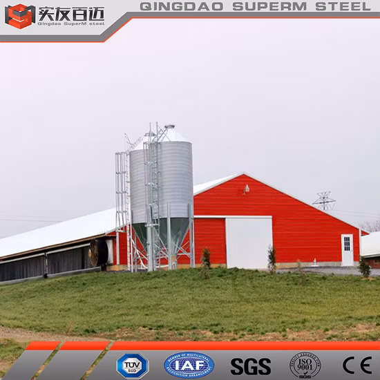 Nouvelle ferme avicole de conception économique pour les poules pondeuses de poulets de chair