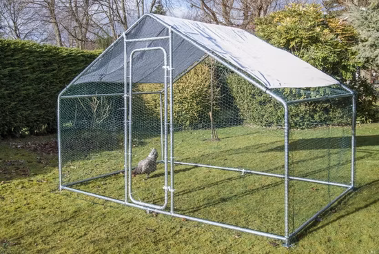 Grand poulailler en métal, poulailler, promenade dans la maison